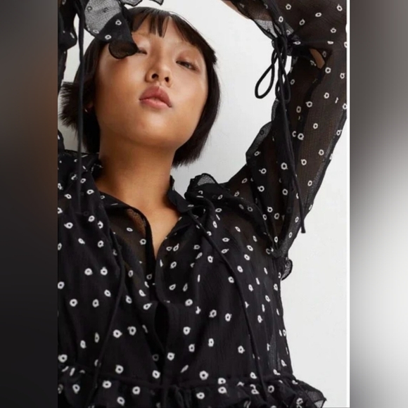 NWT H&M EMBROIDERED DRESS BLACK / DOTTED - Picture 15 of 15